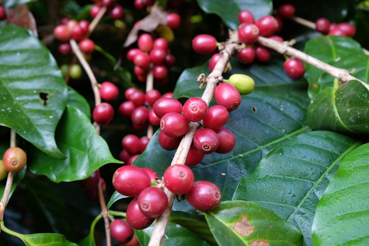 泰劇最新動(dòng)態(tài),探索泰國(guó)影視界的新潮流與熱門(mén)劇集