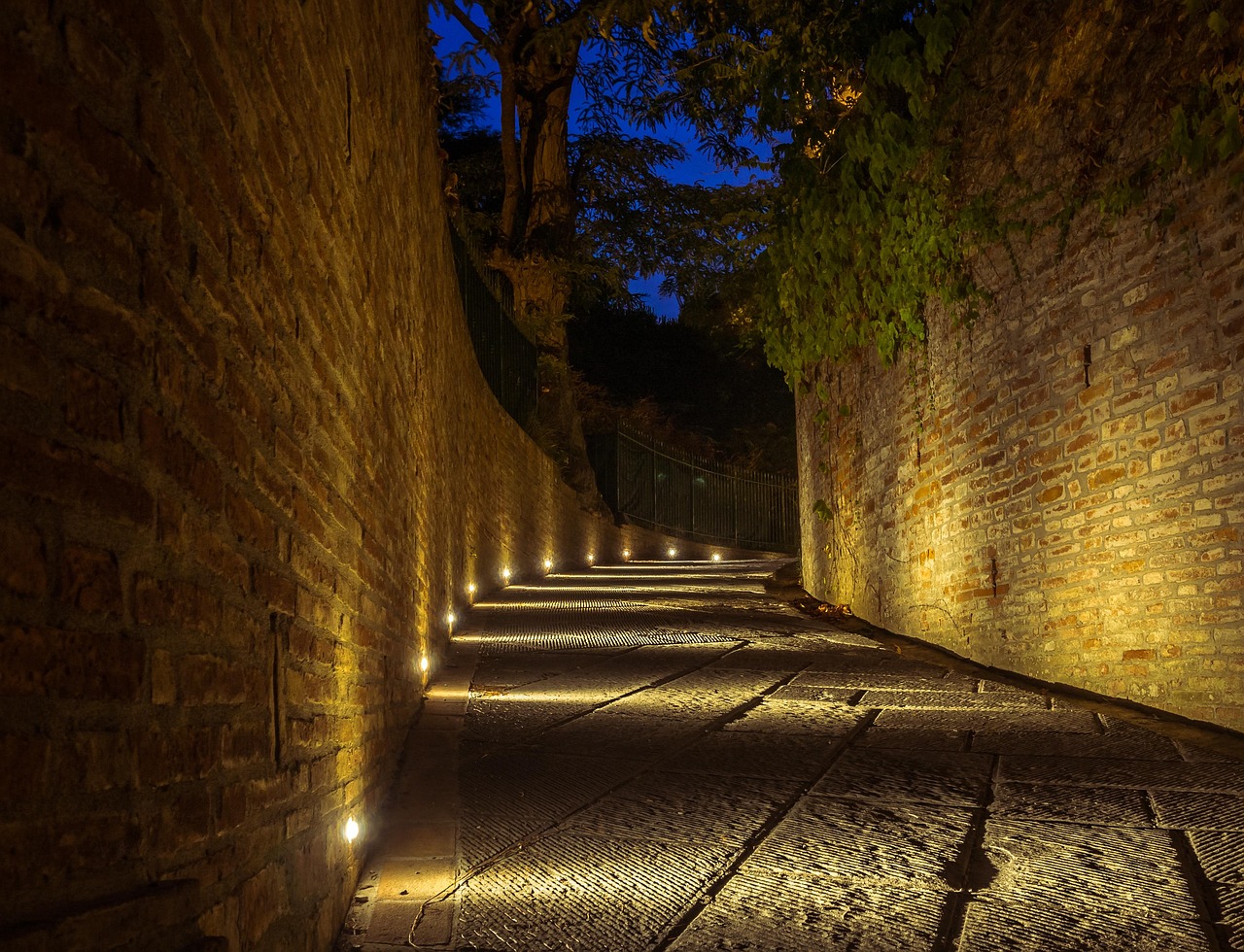 黃岡明星，文化之路的璀璨光芒