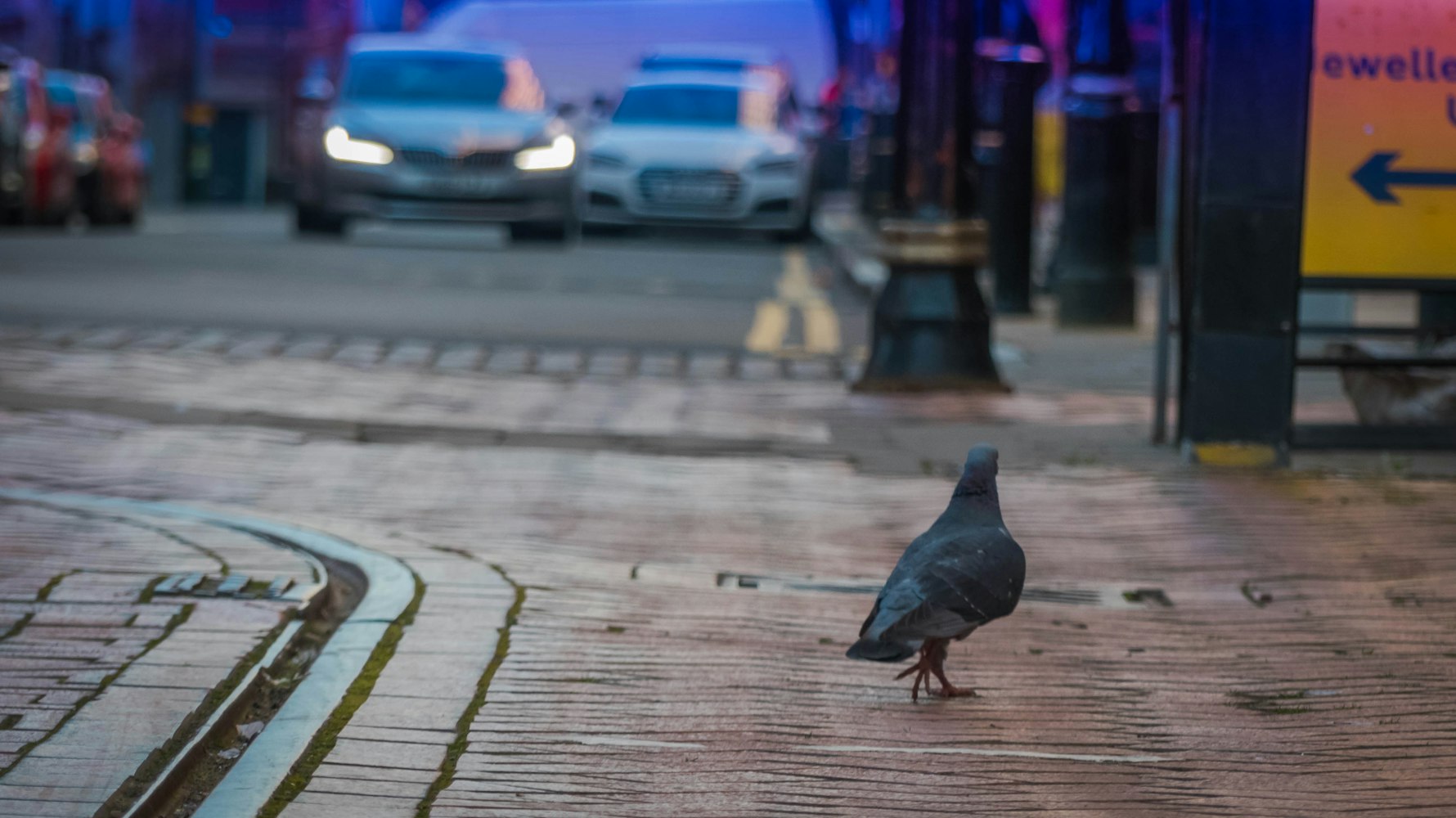 蕪湖元畝塘最新動(dòng)態(tài)揭秘，城市綠色發(fā)展的脈搏