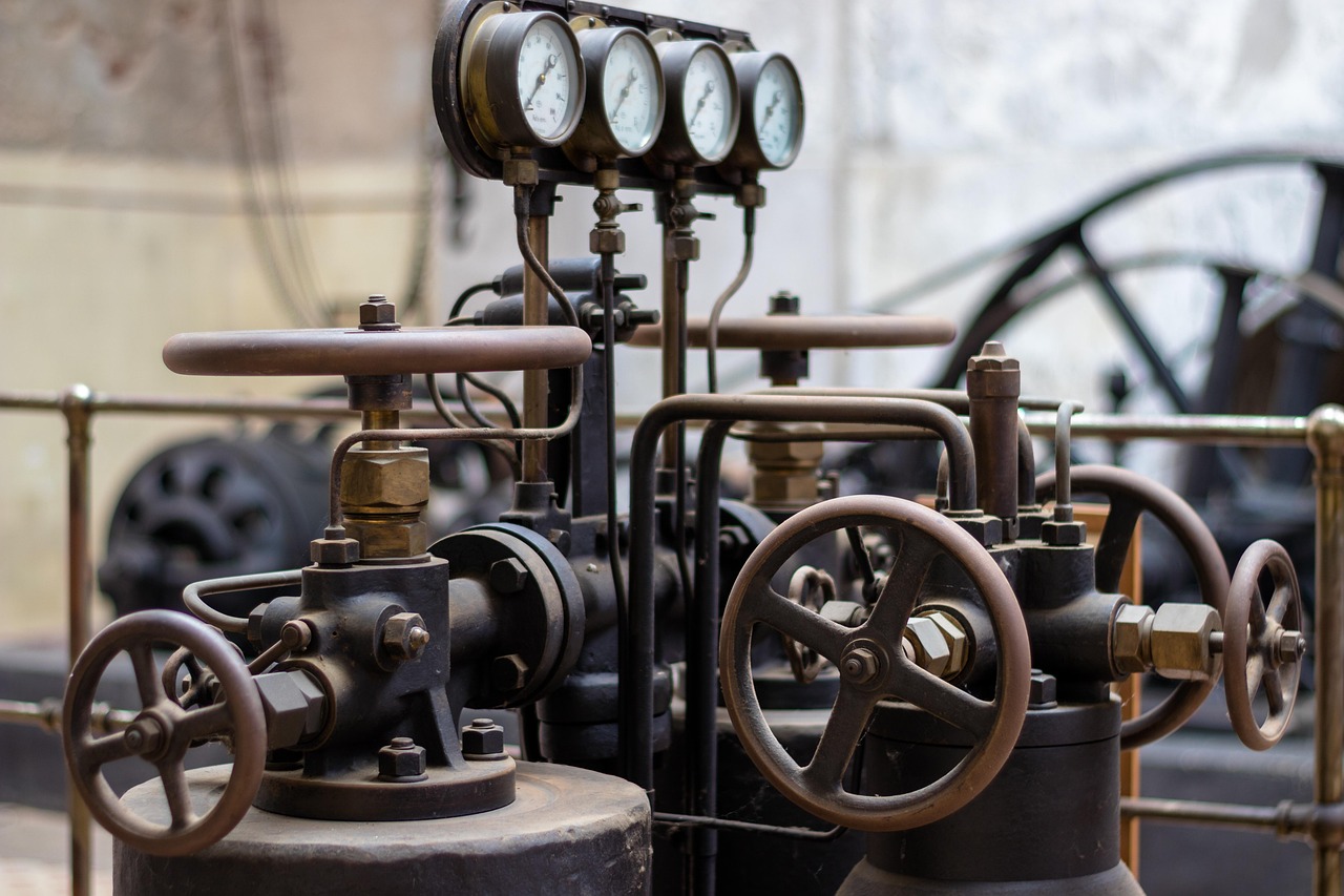 上海陳靖最新動態(tài)，揭開未來無限可能之門