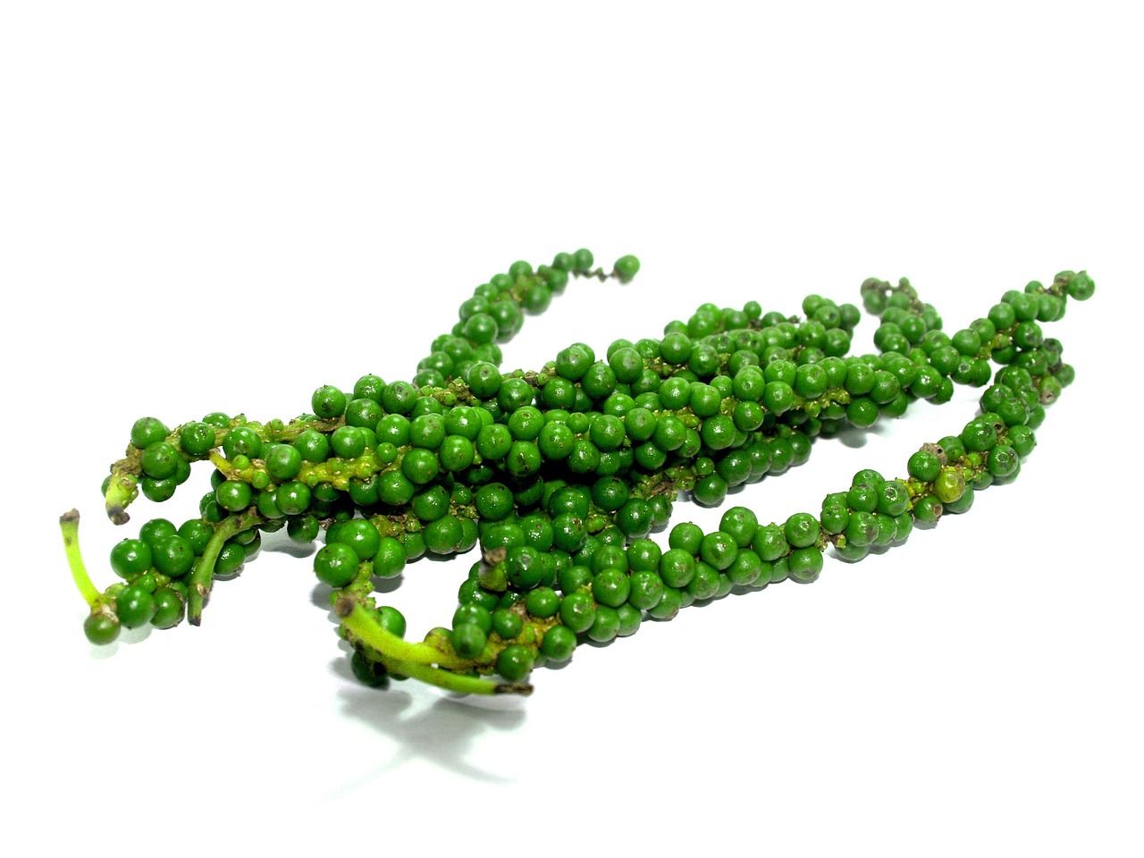 冷世界 第14頁(yè)