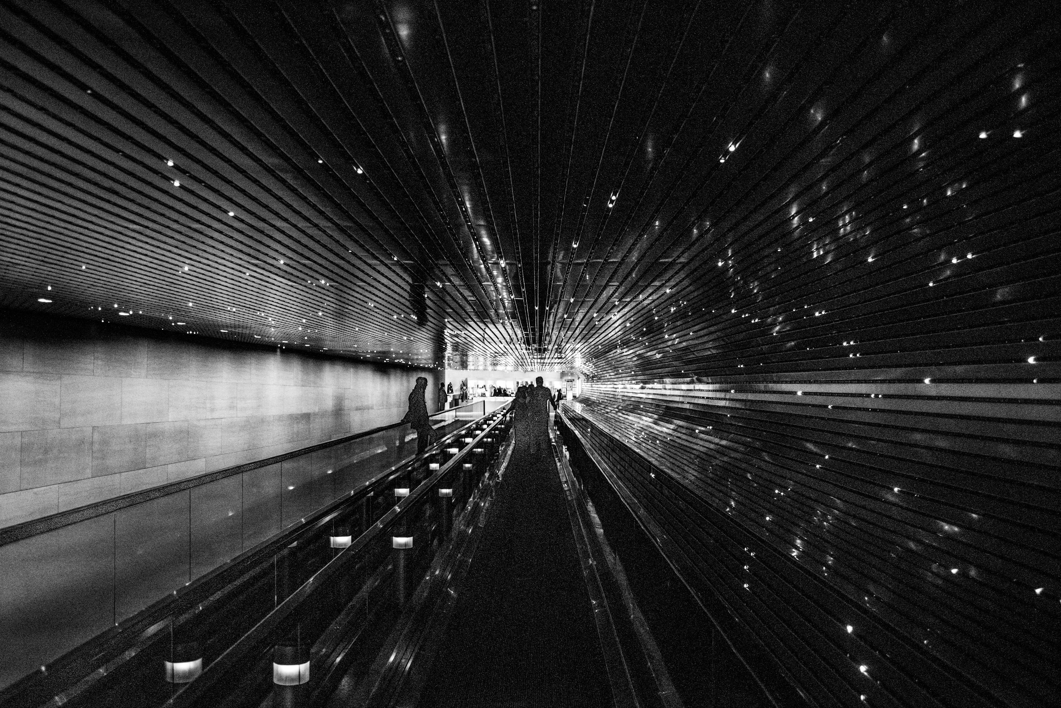 探索與重塑，變形記新篇章