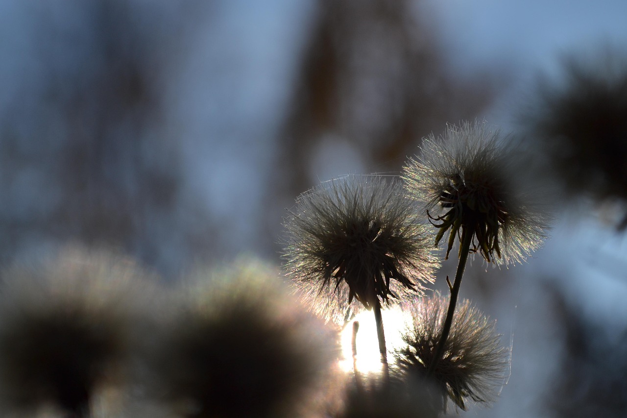 最新驚蟄圖片精選,喚醒春天的美麗瞬間
