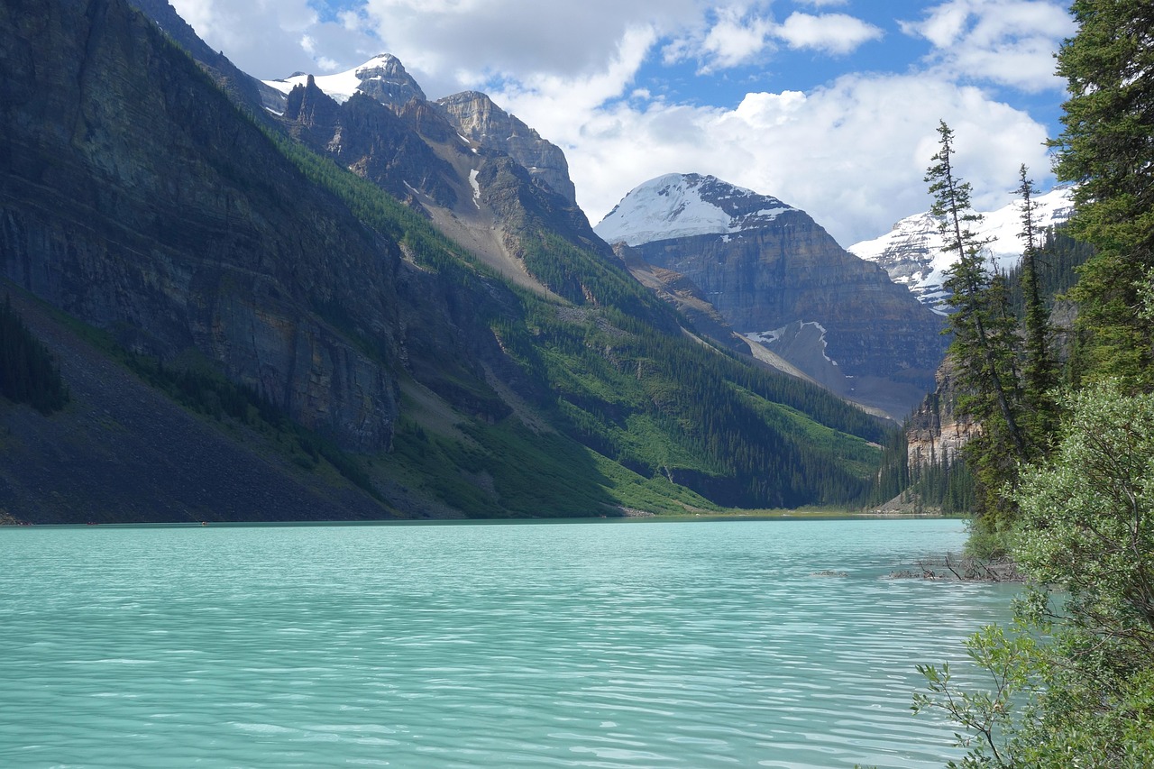 西廣高鐵最新動態(tài),速度與時代的完美融合之旅