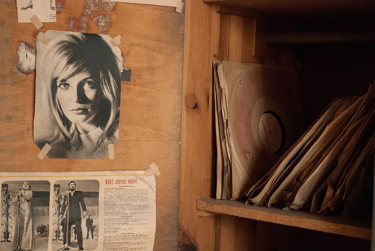 抗日演員，歷史的見證者