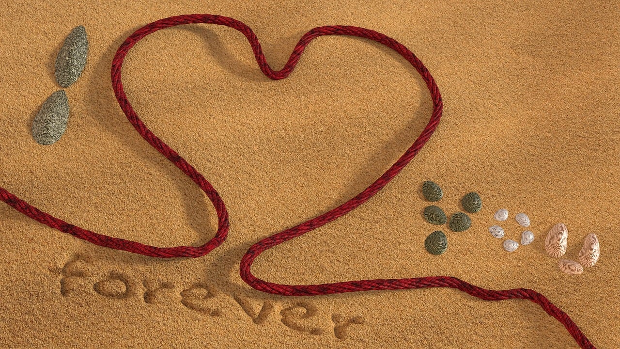 于洪沙嶺胡臺地區(qū)最新職位招聘信息及動態(tài)更新