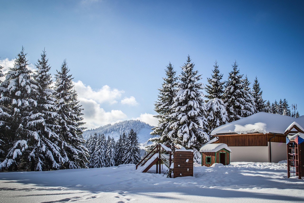 諾基亞8最新動態(tài)，引領(lǐng)時代潮流，展現(xiàn)獨(dú)特魅力風(fēng)采