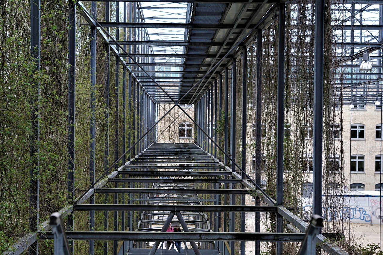 進(jìn)賢后港洲最新動態(tài)揭秘,城市發(fā)展的前沿觀察