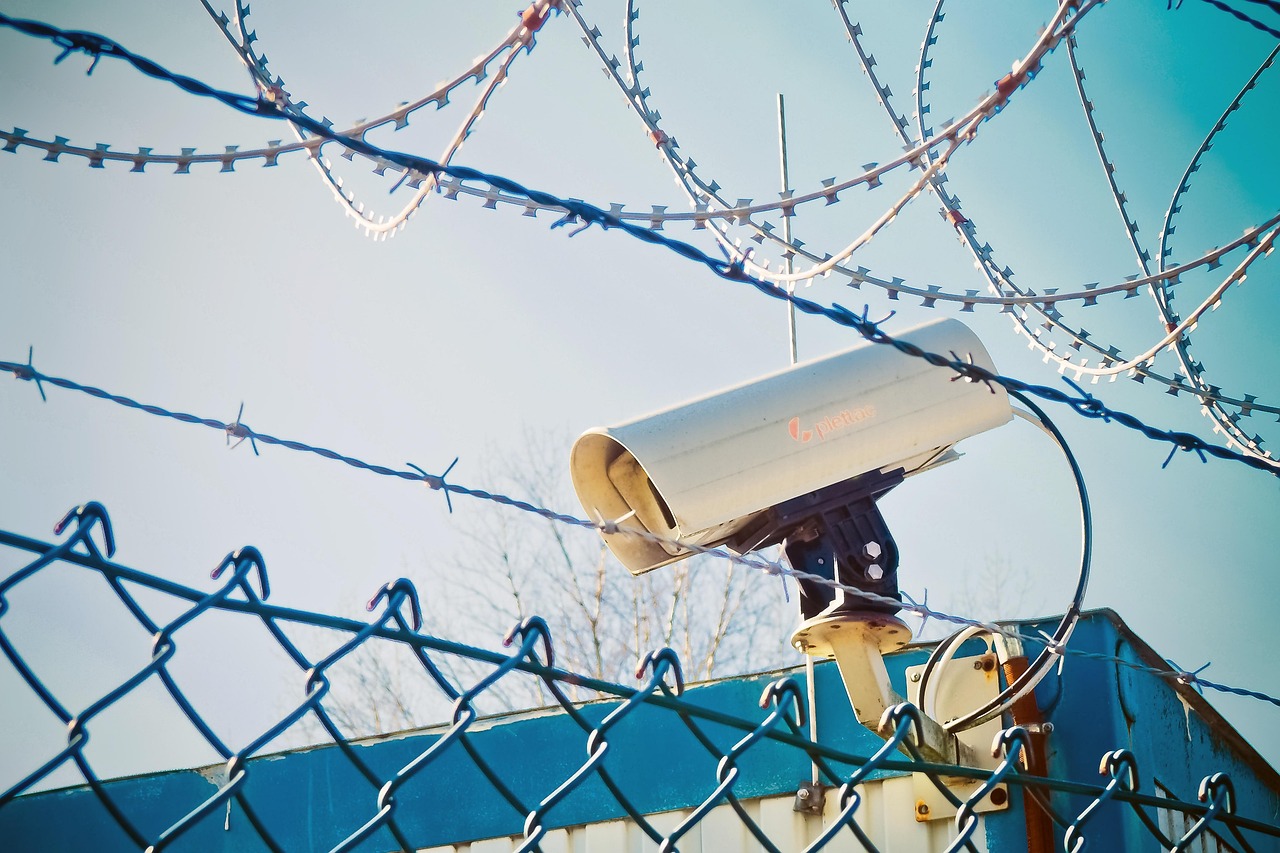 山東禽流感最新動態(tài),全面防控,保障人民健康安全