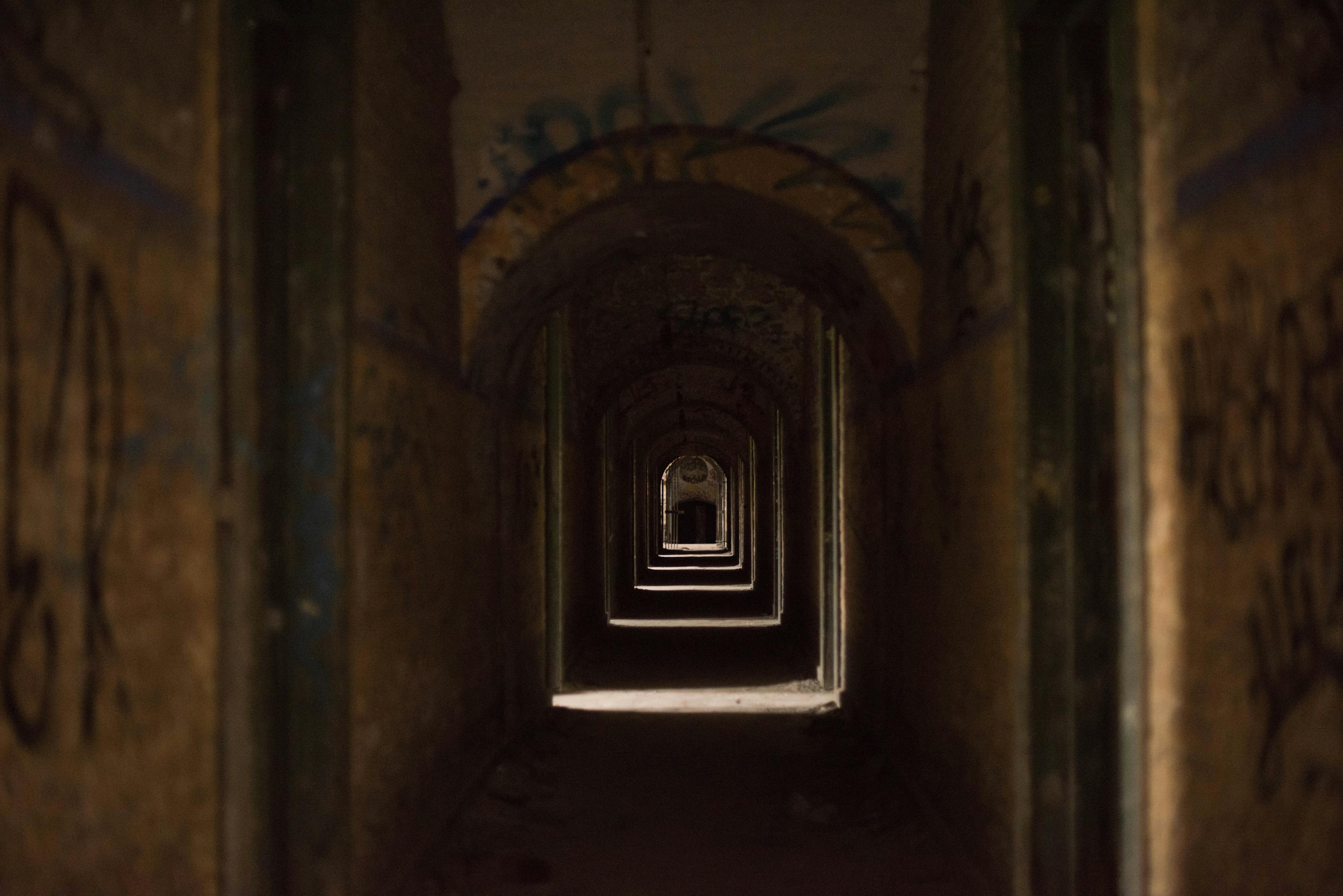 蛇動(dòng)漫圖,探索魅力世界的神秘之旅