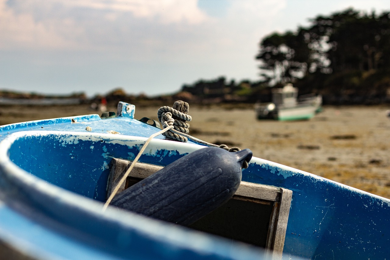 安康最新疫情動態(tài),全面應對,守護家園安寧的堅定行動