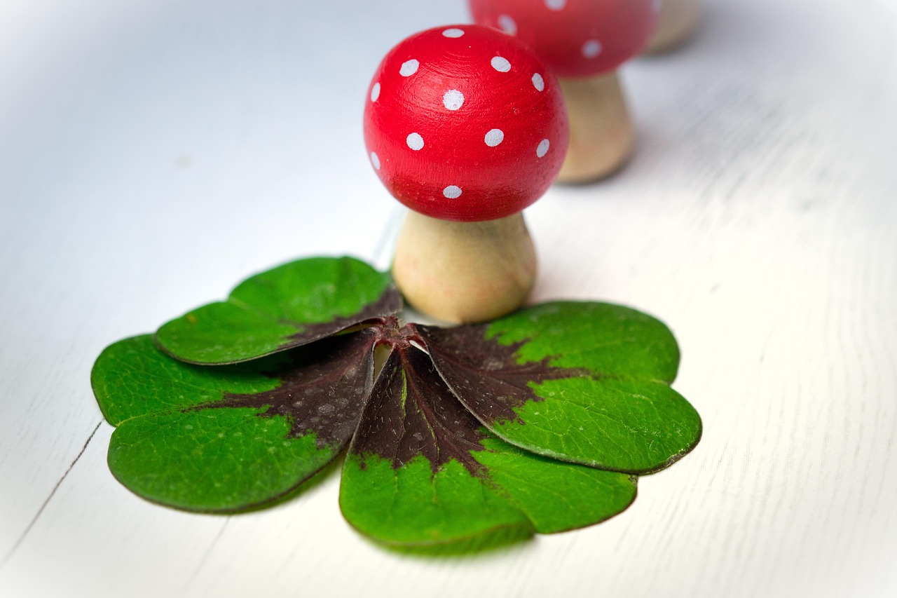 探索最新蔓綠絨的魅力與未來應(yīng)用前景