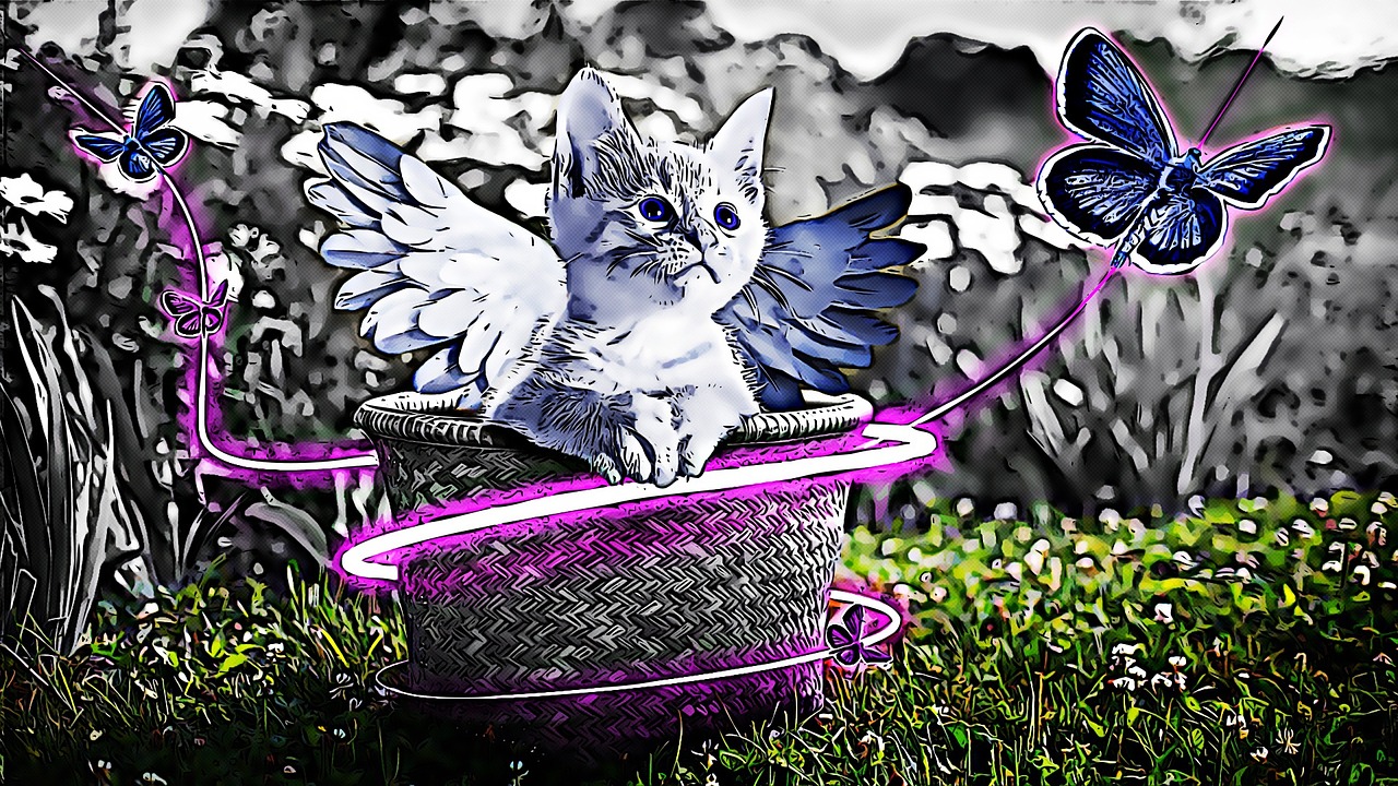 足球比賽的榮耀交響，勝利與榮耀的尾聲樂章