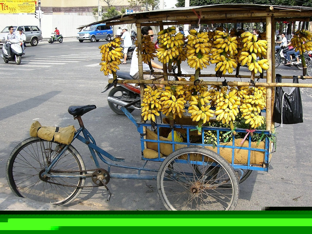 Merior自行車價格及市場影響力解析