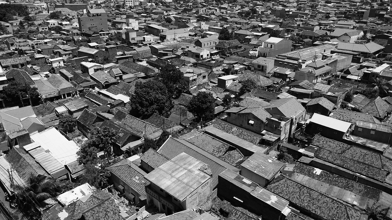 肆戰(zhàn)作王 第9頁