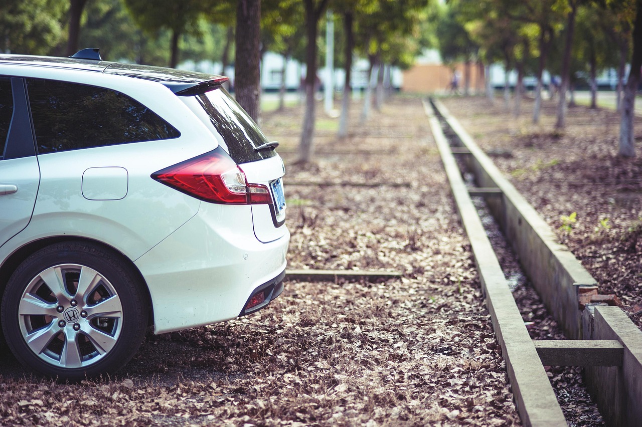 自瘋癲 第12頁(yè)