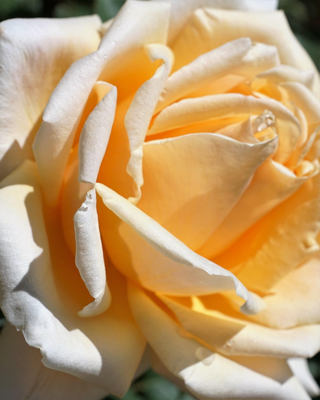 落幕流蘇 第9頁(yè)