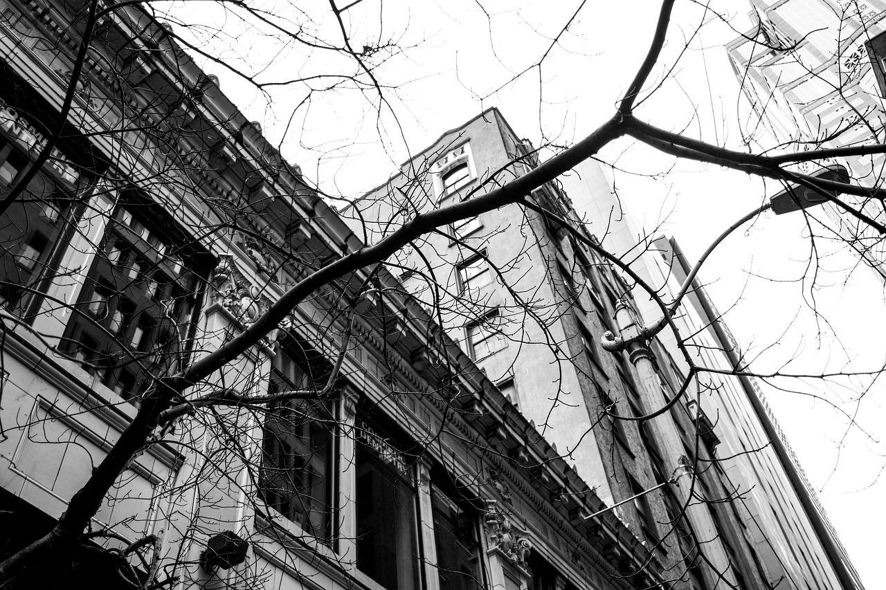 翔安中澳城項目最新動態(tài)，推動城市發(fā)展的強大引擎持續(xù)進展中