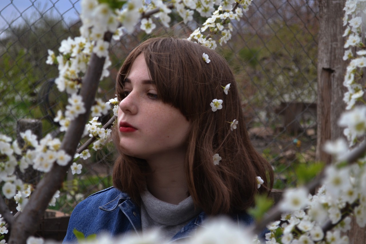 東北虎豹公園最新動(dòng)態(tài)，生態(tài)保護(hù)與可持續(xù)發(fā)展的前沿進(jìn)展探索