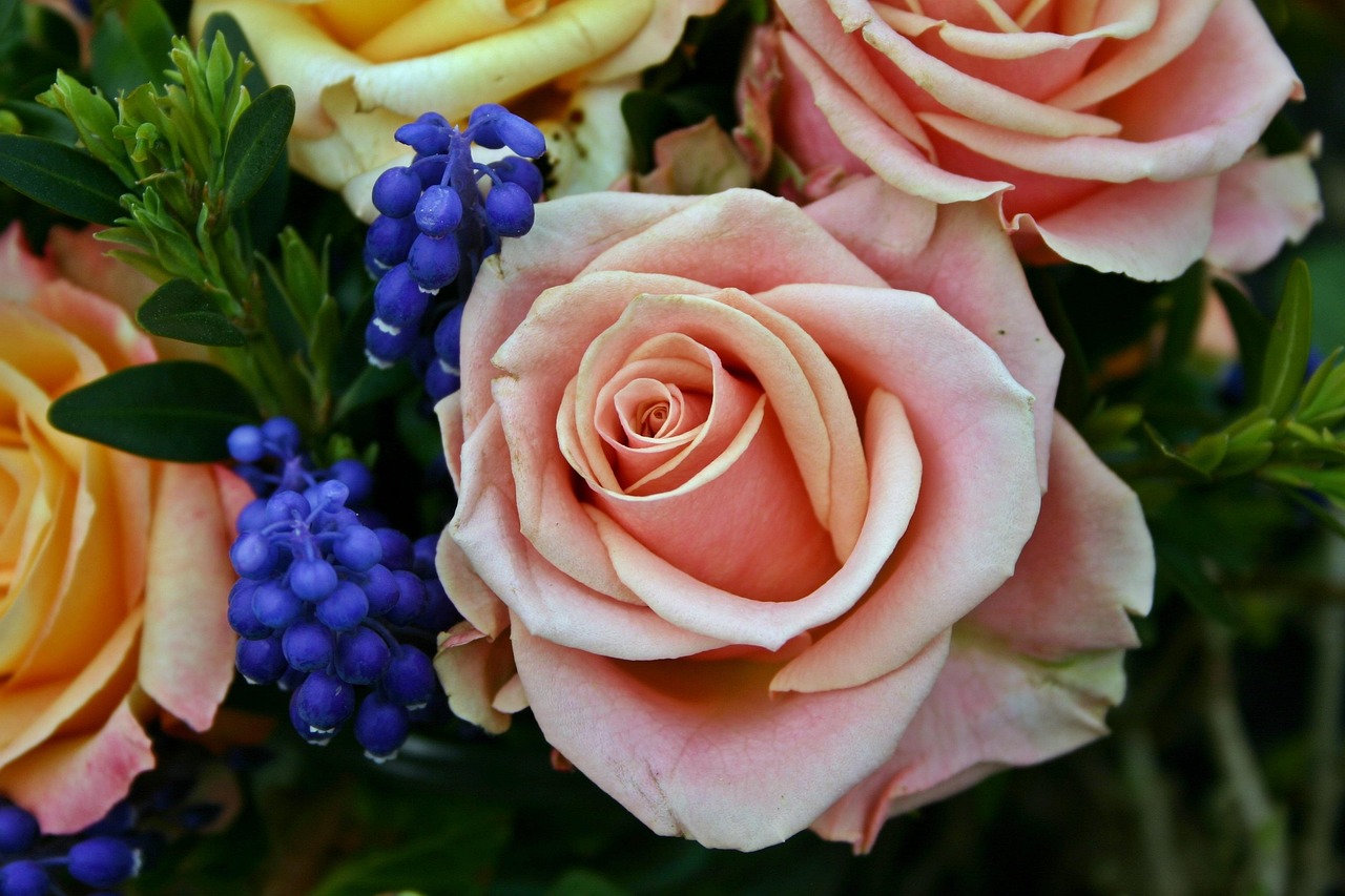 楊小瓊最新作品蓮花，綻放的藝術(shù)魅力