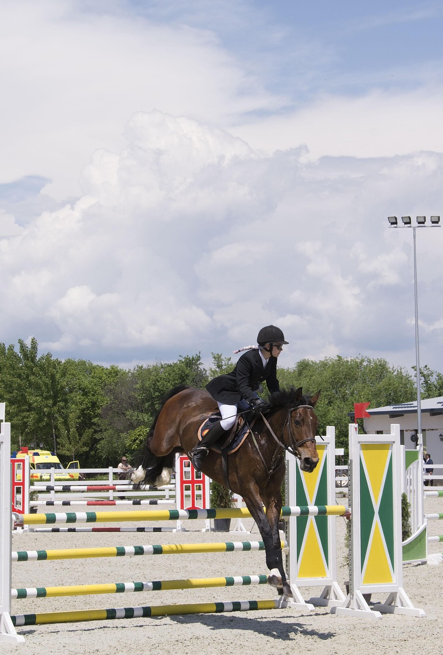 鳳岡最新人事動態(tài)更新