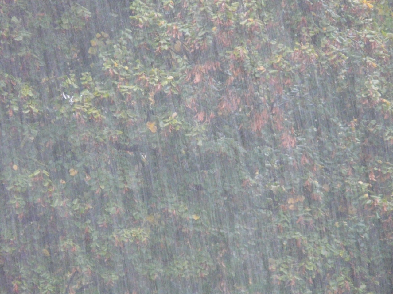 縣域經(jīng)濟(jì)蓬勃發(fā)展，今日盤(pán)縣最新動(dòng)態(tài)揭秘新篇章