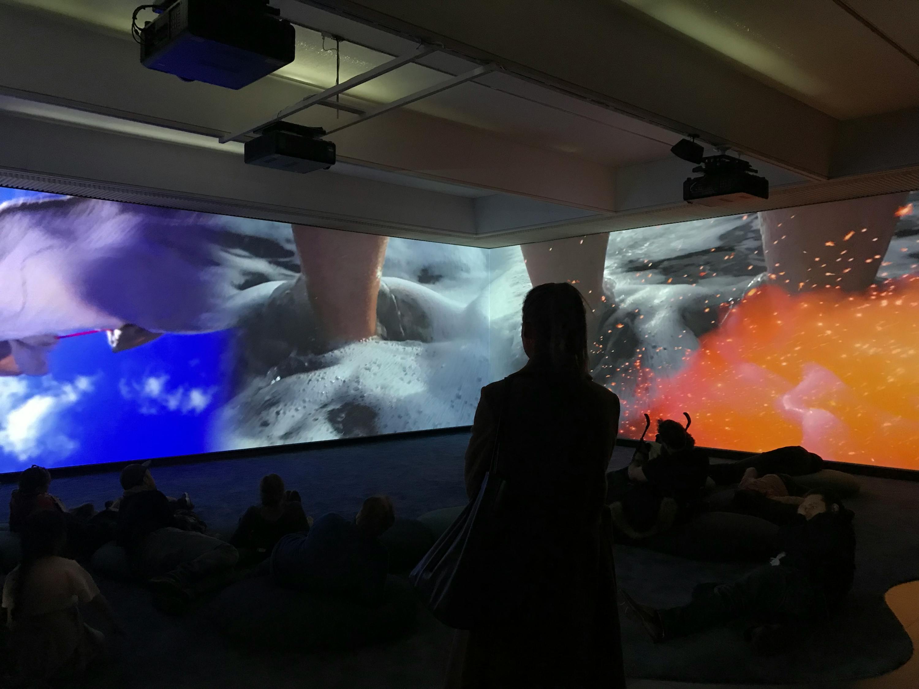 探索現(xiàn)代水族藝術(shù)魅力的最新水族箱圖片