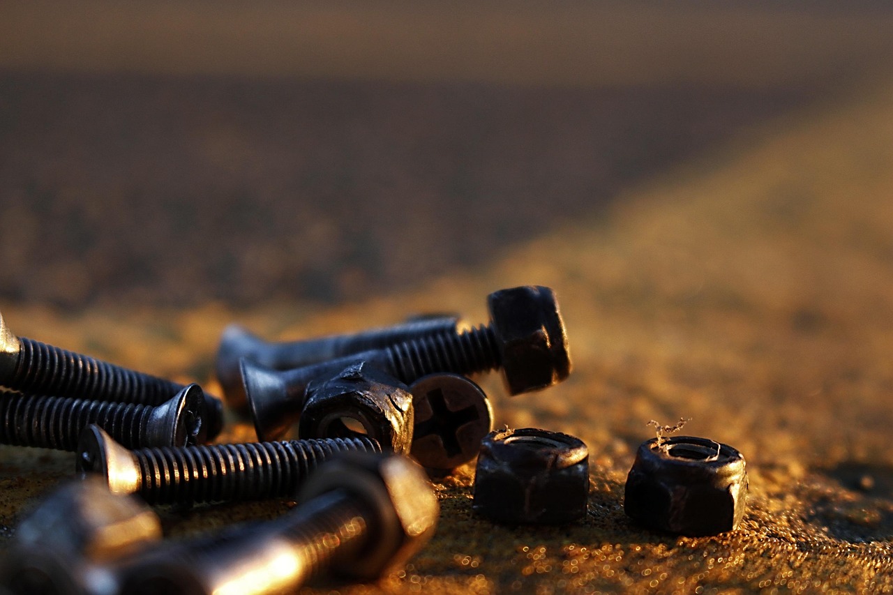 陜西多元發(fā)展活力與潛力展現(xiàn)新動態(tài)