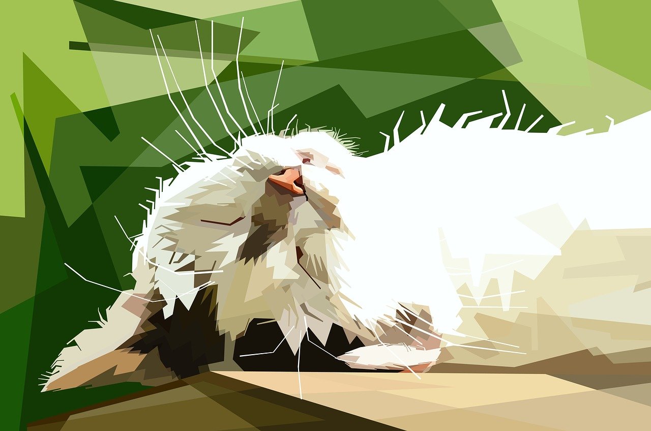 封面設計大賽，創(chuàng)意與藝術的激烈碰撞