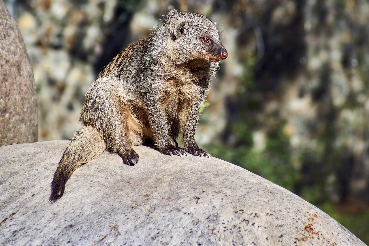輕雨傘下 第10頁
