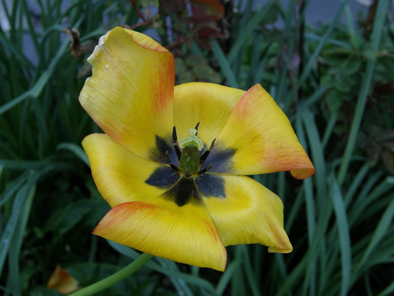 浦北最新動態(tài)，蓬勃發(fā)展中的新篇章