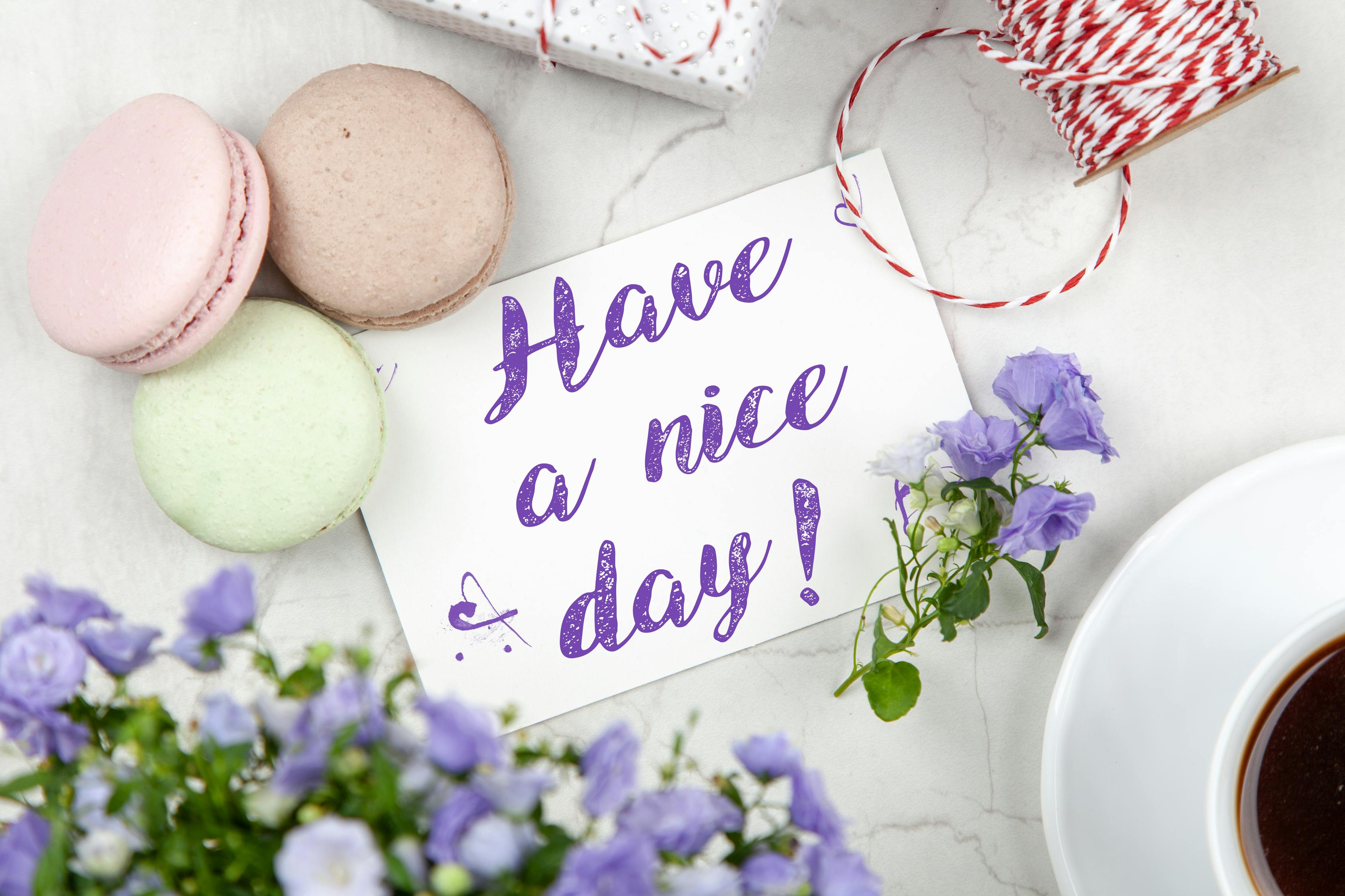 餅干動漫,文化與創(chuàng)意的完美結(jié)合之旅