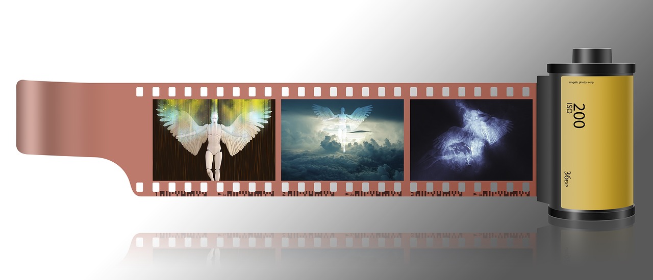 清代戶部大銅幣拍賣(mài)信息全解析，最新拍賣(mài)動(dòng)態(tài)及詳解