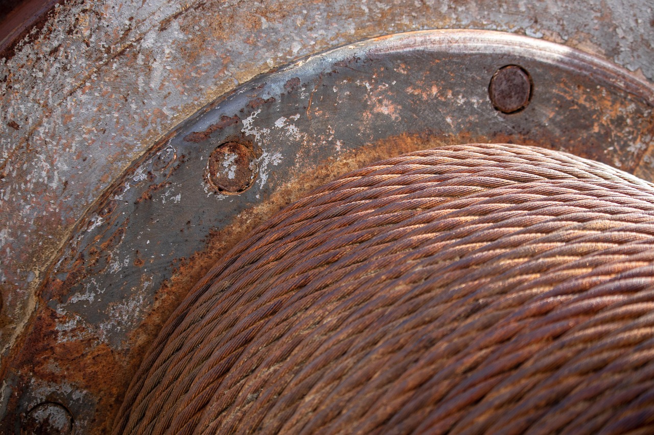 最新立法動態(tài)及其深遠影響