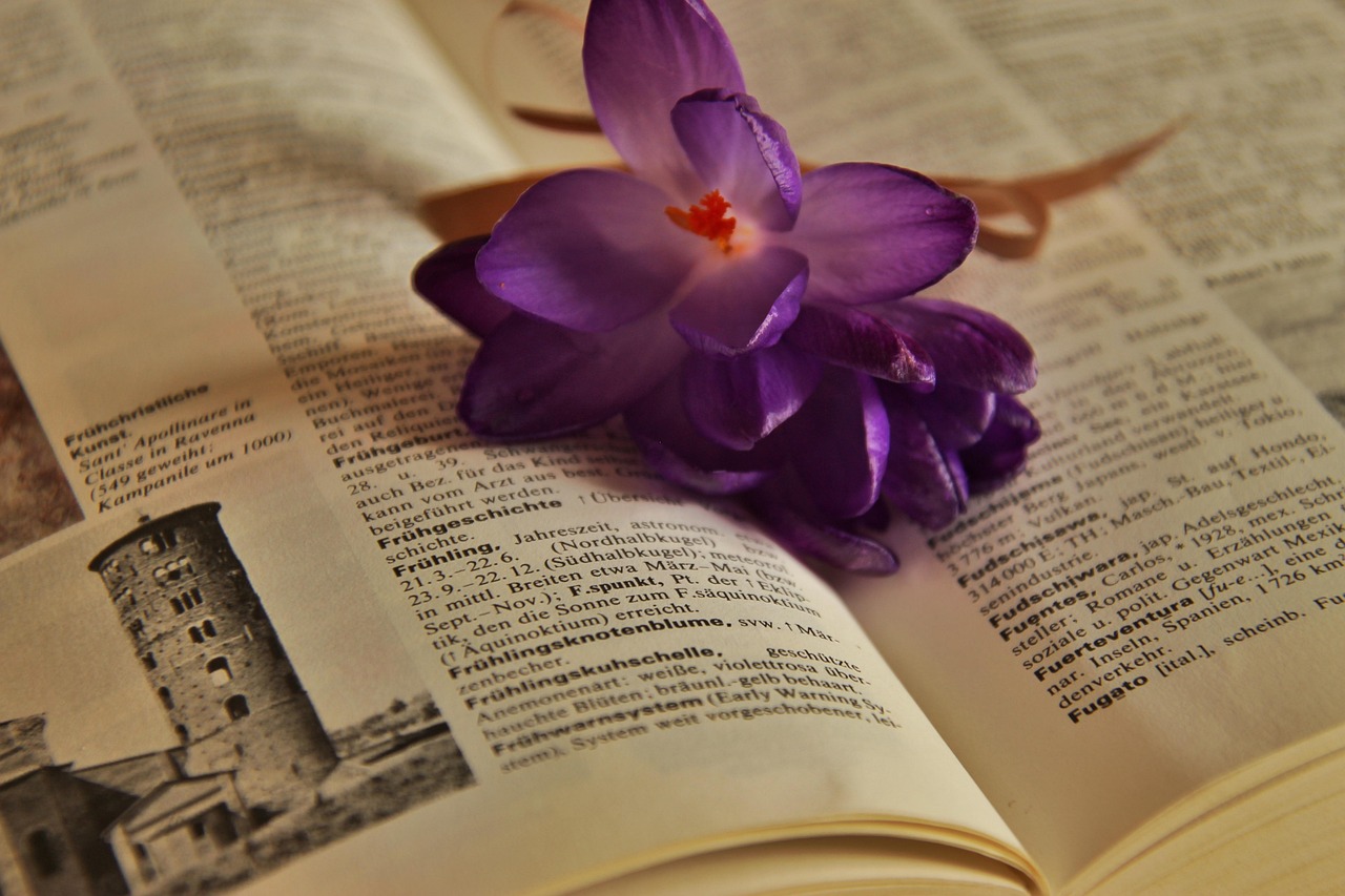 名門之約最新篇章,啟示與探索