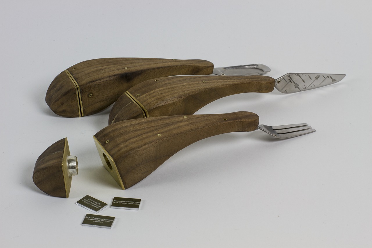 海珠小雅的藝術(shù)魅力綻放與未來發(fā)展展望最新動態(tài)