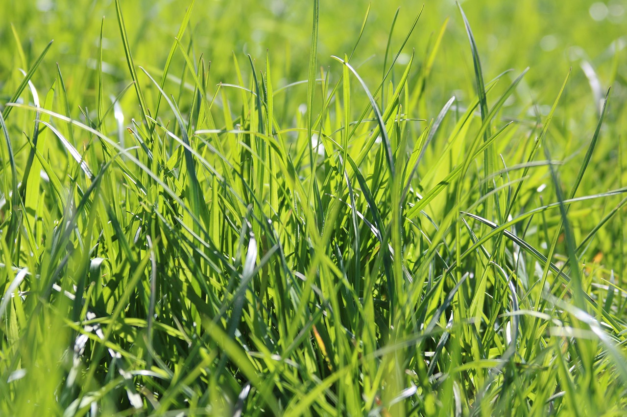 嘉澳環(huán)保上市,引領(lǐng)綠色發(fā)展的先鋒力量