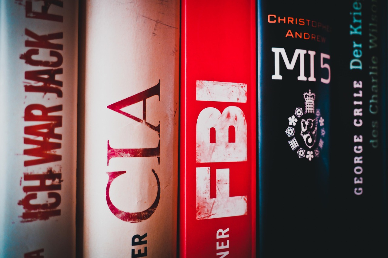 最新幼兒教育政策，塑造未來(lái)關(guān)鍵的一步行動(dòng)指南