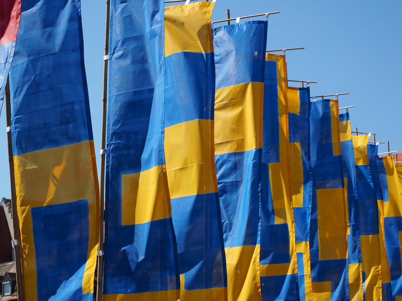 楊穎最新閃耀動態(tài),明星資訊一網(wǎng)打盡