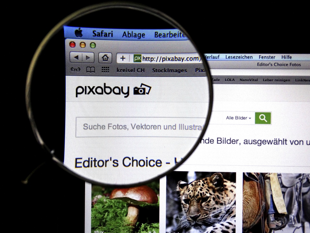 最新電影網(wǎng)站推薦,影視娛樂的新天地探索