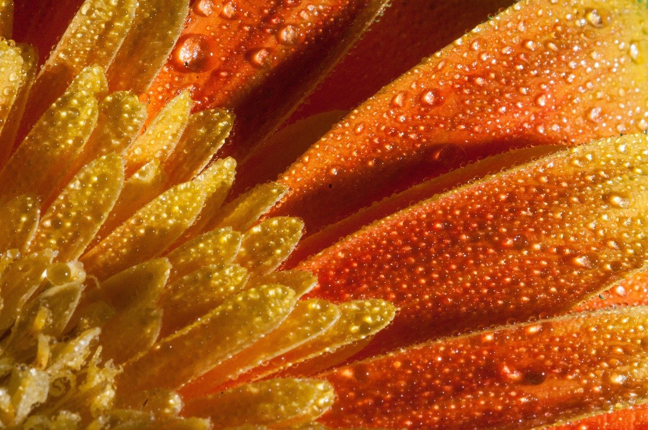 市最新動態(tài)，創(chuàng)新發(fā)展的繁榮篇章揭秘！