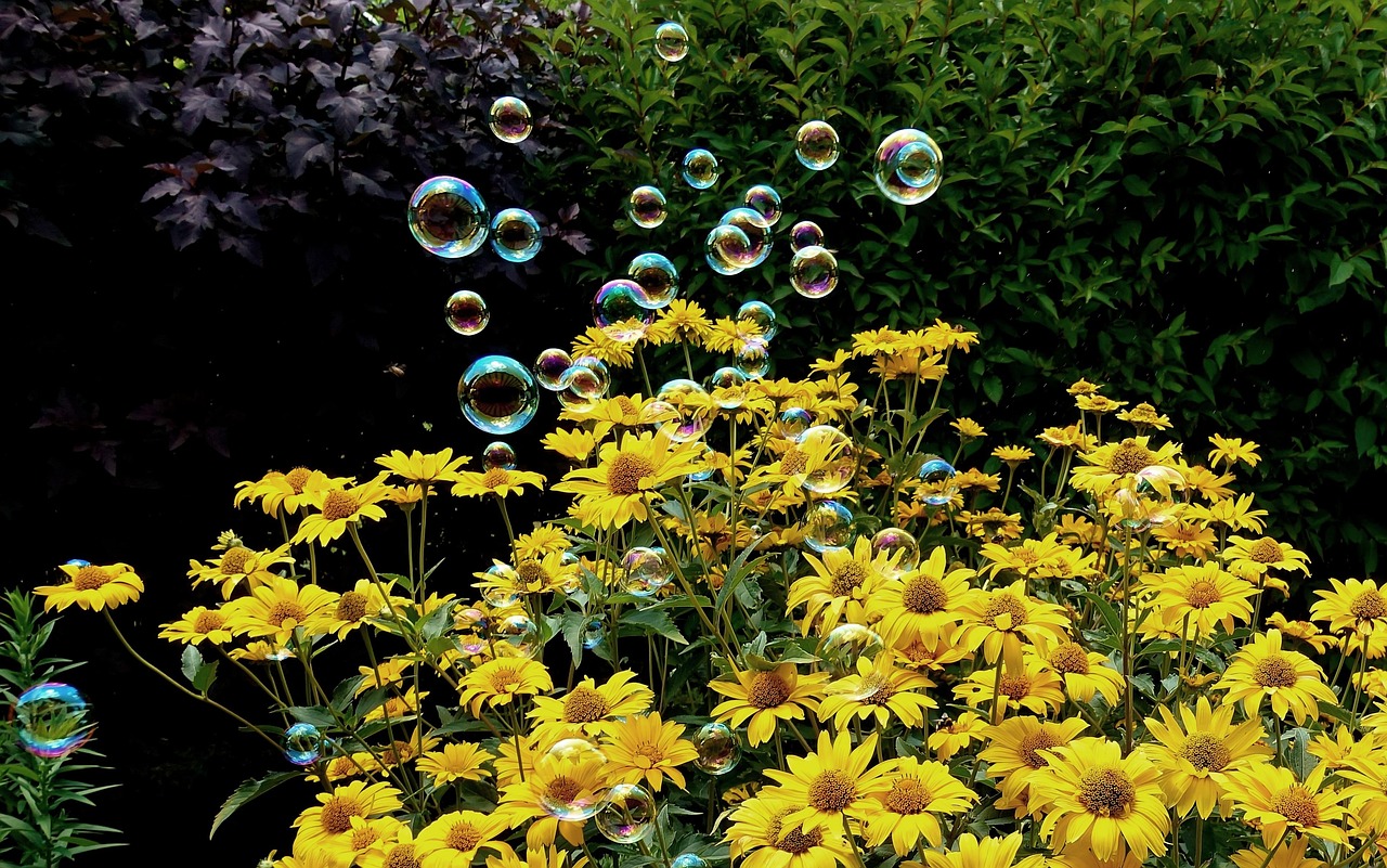 最新桃花運勢揭秘,探尋你的愛情走向