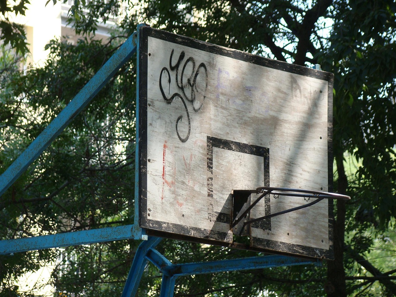 武漢動態(tài)，城市脈搏的躍動