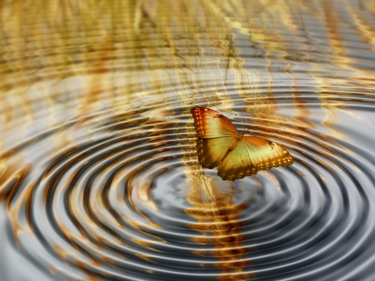 2017年倫理研究的新進(jìn)展及其影響