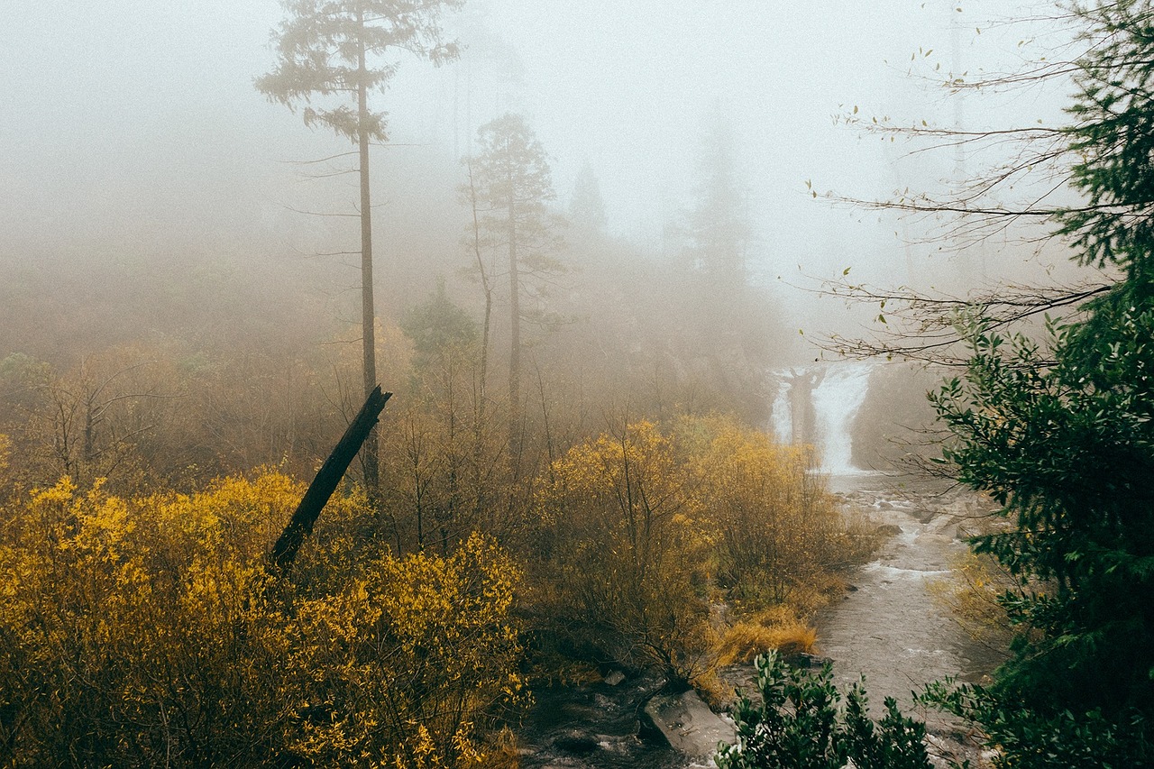 花果園溪山居美景圖賞析