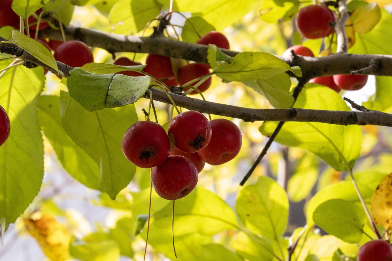合肥人事任免最新動態(tài)更新