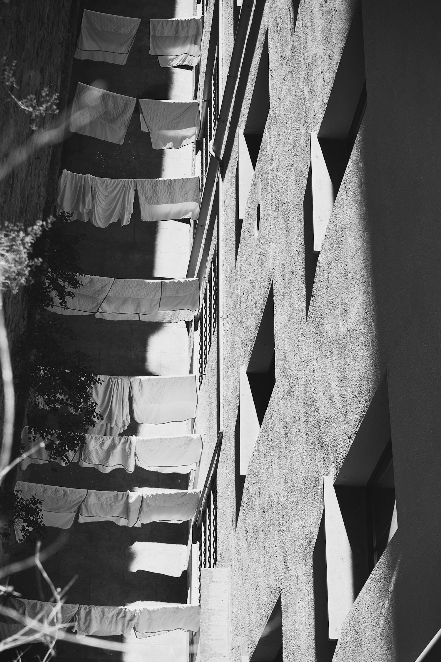 探尋古箏藝術(shù)獨特韻味與時代風(fēng)采的新篇章