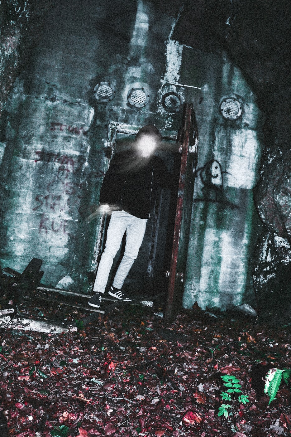 野爹最新篇章，探索未知征途的冒險(xiǎn)之旅