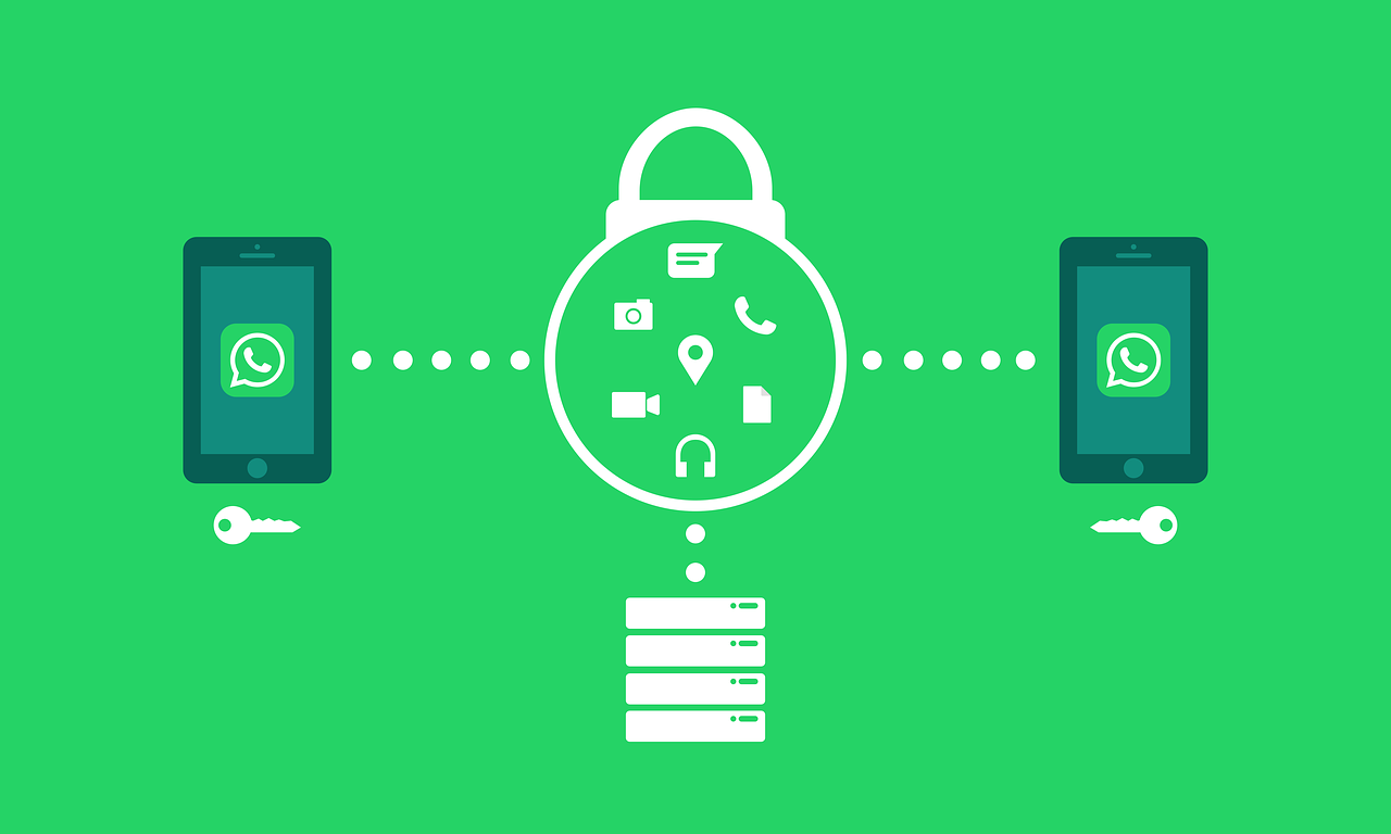 石家莊市人事調(diào)整信息深度解讀與解析