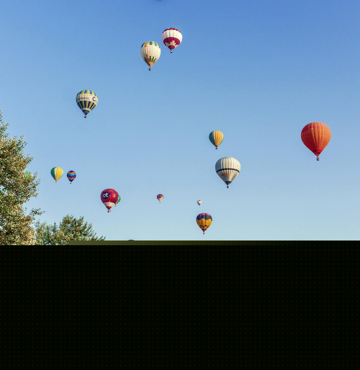 柏林國際電影節(jié)，電影藝術(shù)與文化交融的盛會